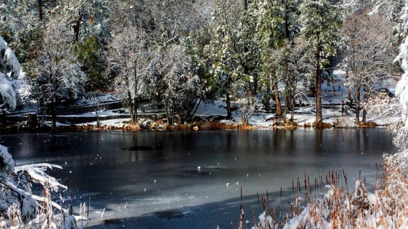 Estudiar en el Extranjero