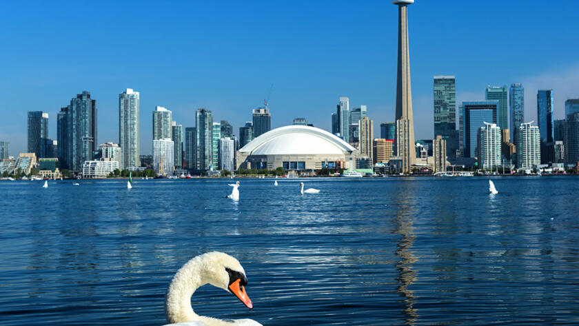 Estudiar en el Extranjero