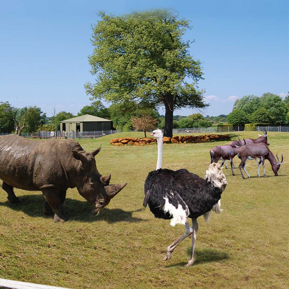 Suffolk, Reino Unido