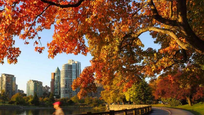 Estudiar en el Extranjero