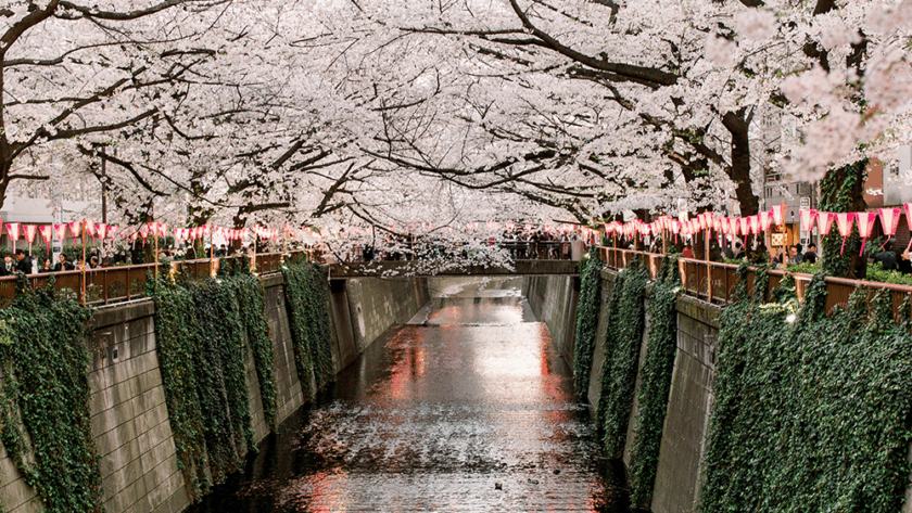 Estudiar en el Extranjero